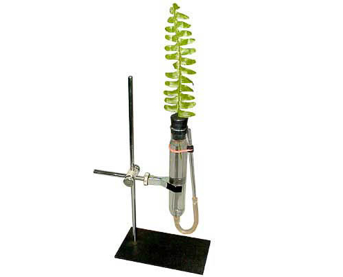 Прибор для демонстрации всасывания воды корнями